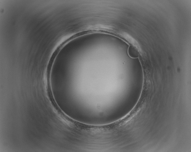 X0000051251032200506241541