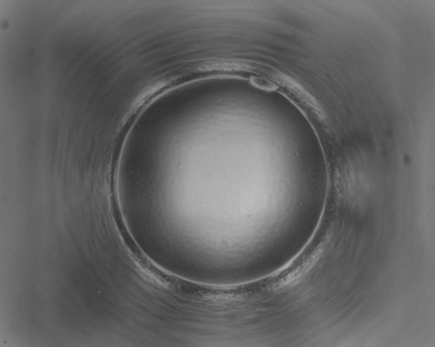 X0000051251033200506241541