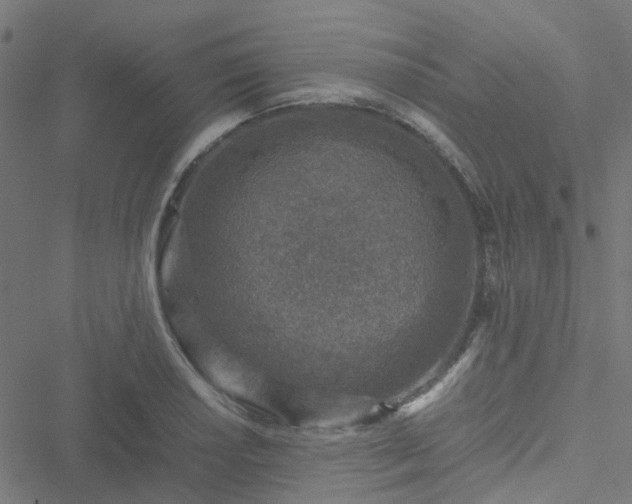 X0000051251034200506241541