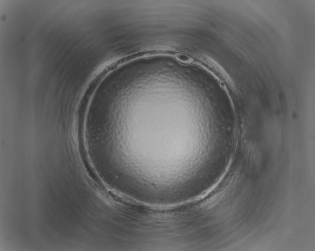 X0000051251035200506241541