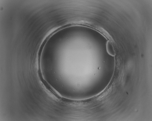 X0000051251036200506241541