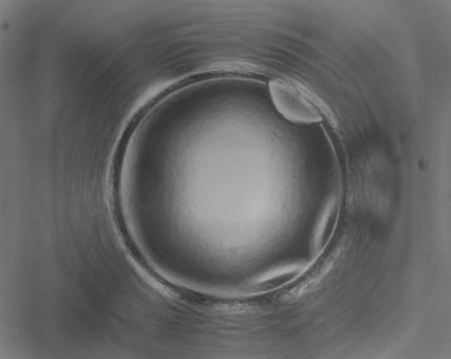 X0000051251037200506241541