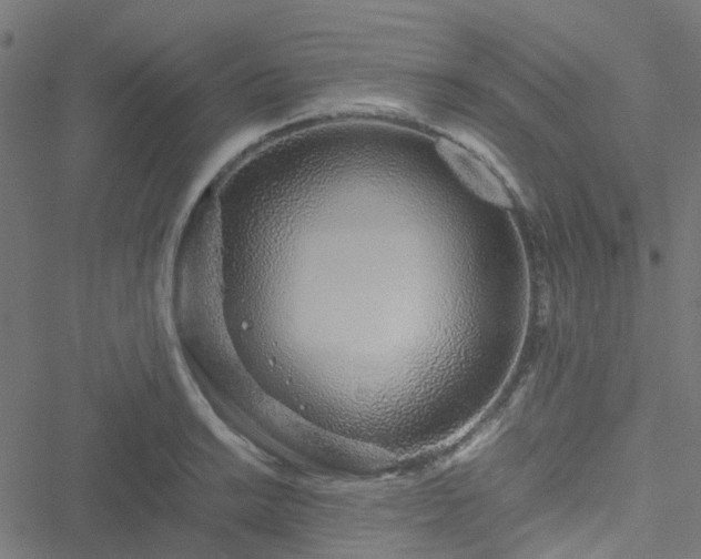 X0000051251038200506241541