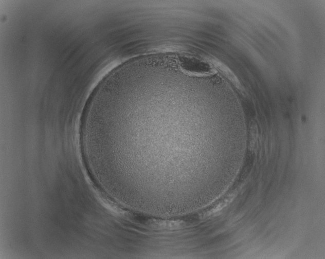 X0000051251039200506241541