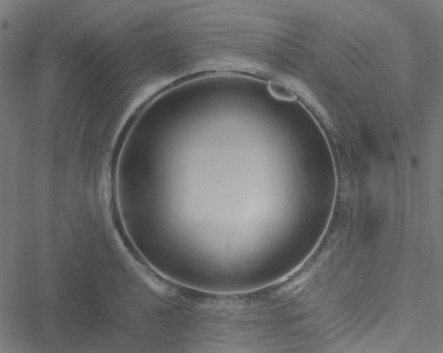 X0000051251040200506241541