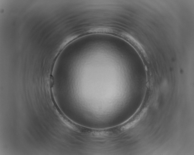 X0000051251041200506241541