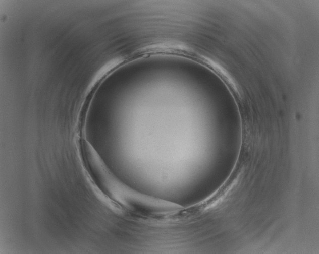 X0000051251042200506241541