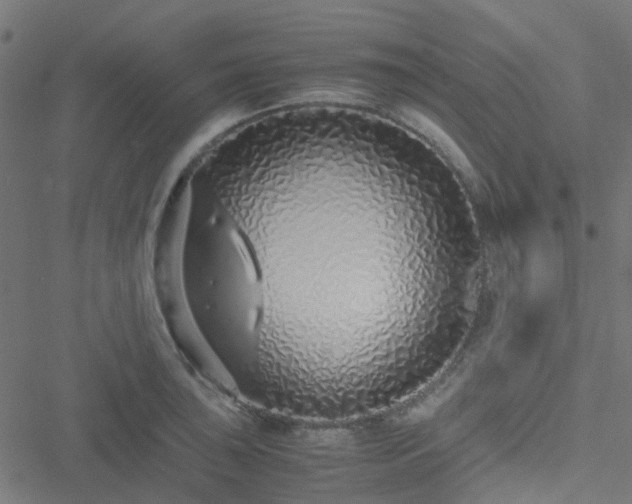 X0000051251043200506241541