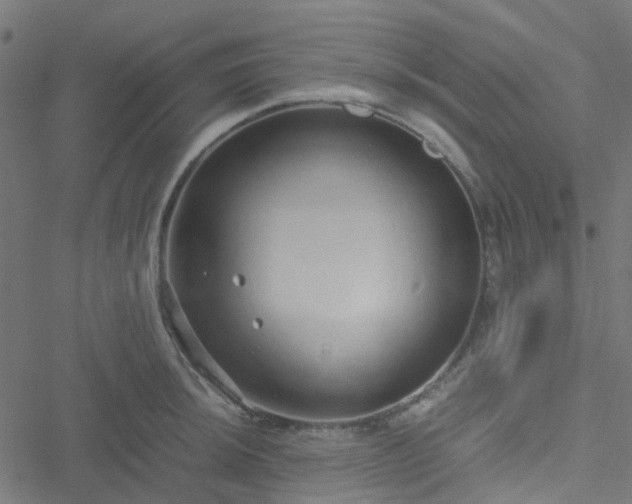 X0000051251044200506241541