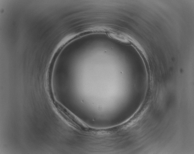 X0000051251045200506241541