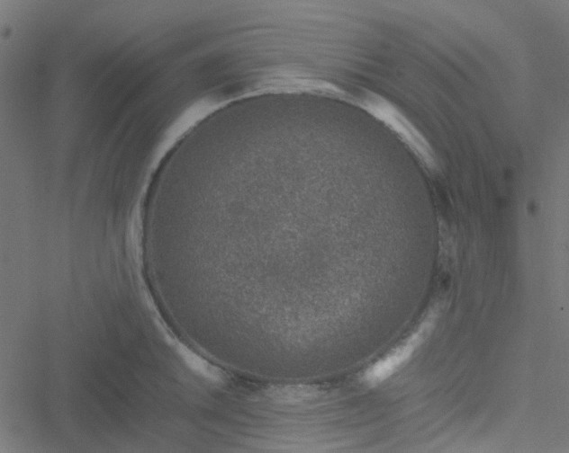 X0000051251046200506241541