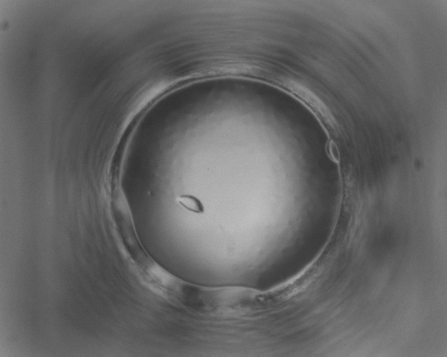 X0000051251047200506241541