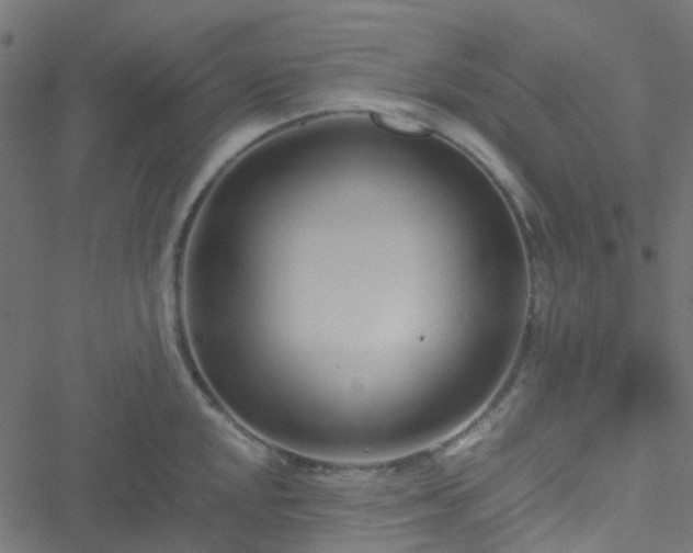 X0000051251048200506241541