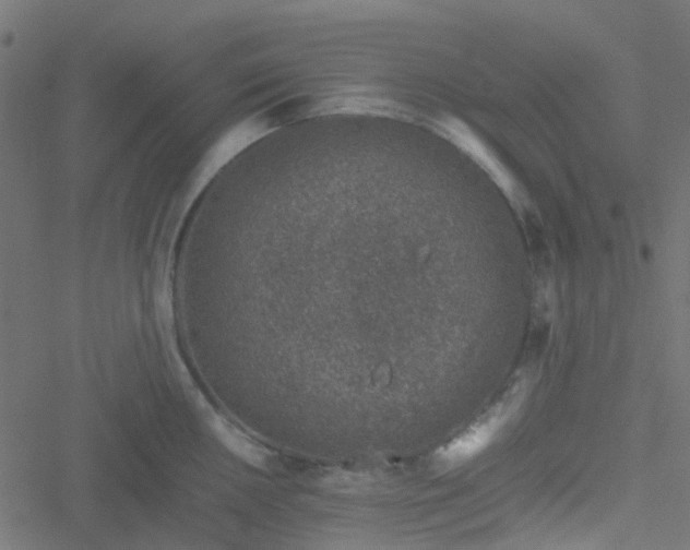 X0000051251050200506241542