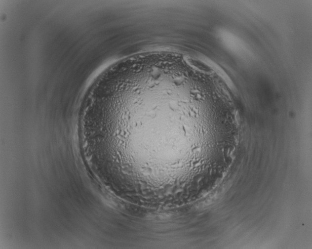 X0000051251051200506241542