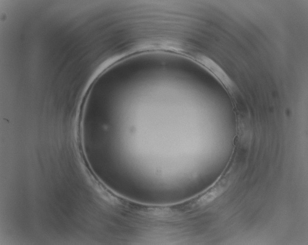 X0000051251052200506241542