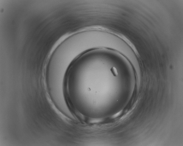 X0000051251054200506241542