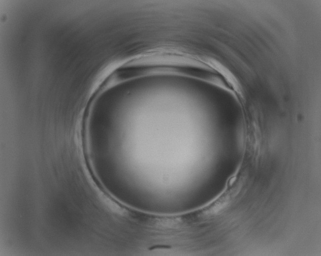 X0000051251055200506241542