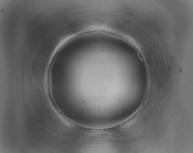 X0000051251056200506241542