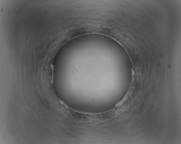 X0000051251057200506241541