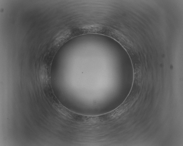 X0000051251058200506241541