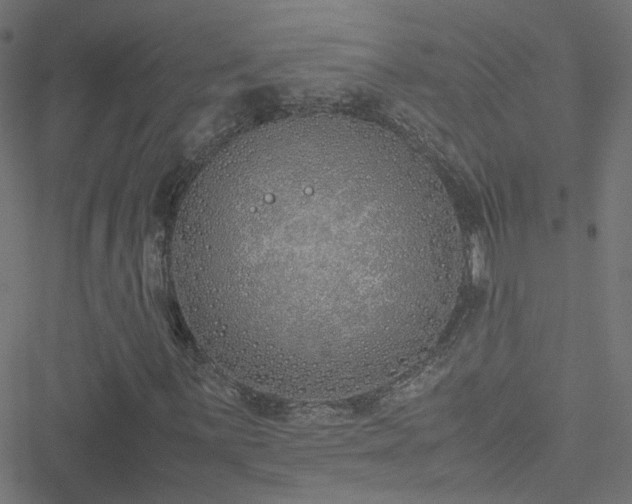 X0000051251059200506241541