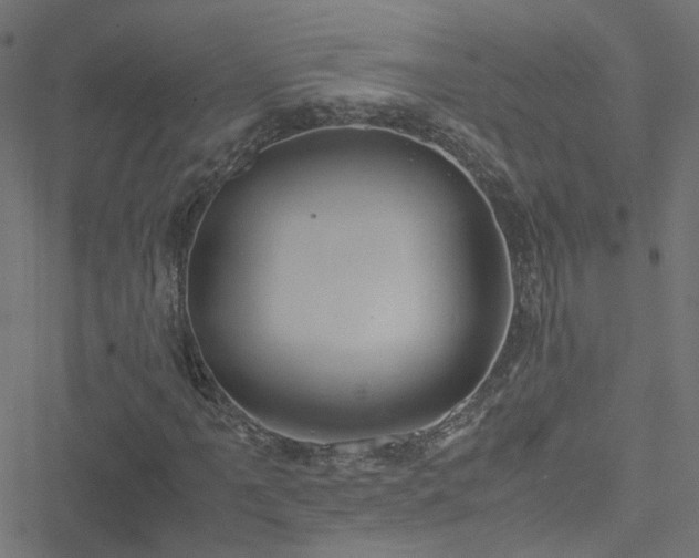 X0000051251061200506241541