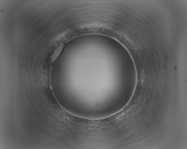 X0000051251062200506241541