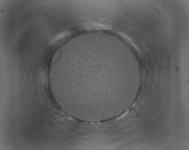 X0000051251063200506241541