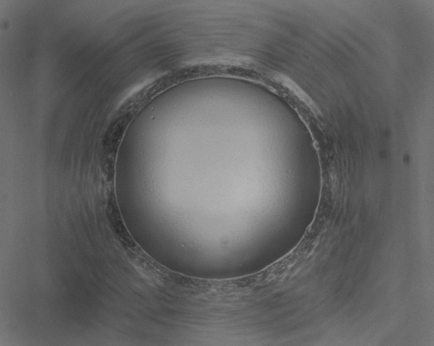 X0000051251064200506241541