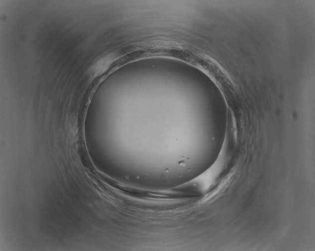 X0000051251065200506241541