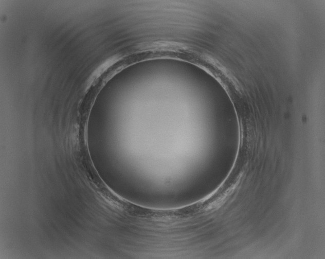 X0000051251066200506241541