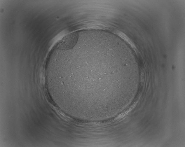 X0000051251067200506241541