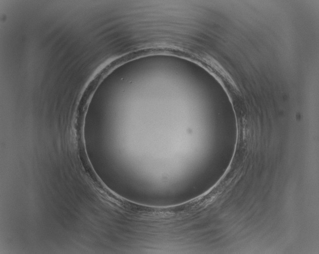 X0000051251068200506241541