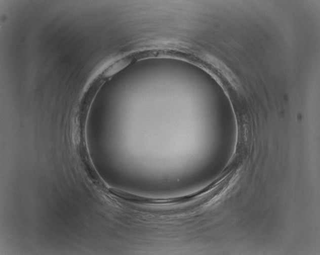 X0000051251069200506241541