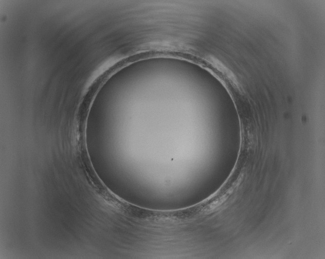 X0000051251070200506241541