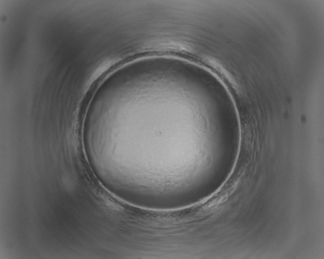 X0000051251071200506241541