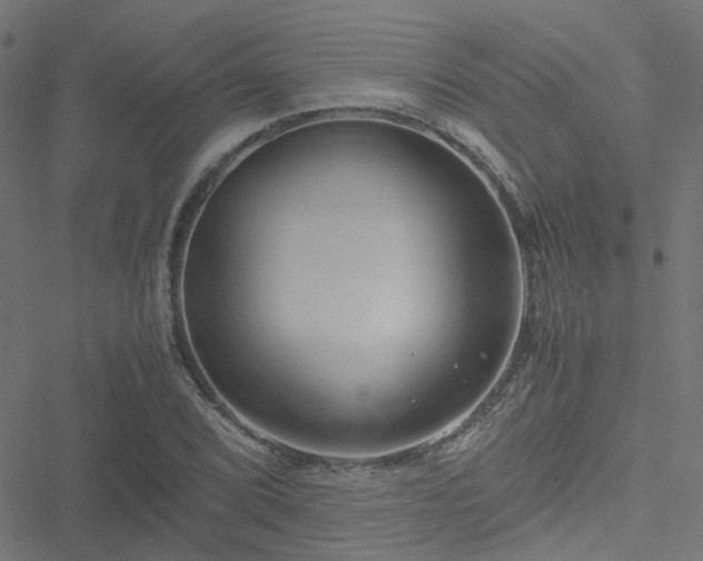 X0000051251072200506241541