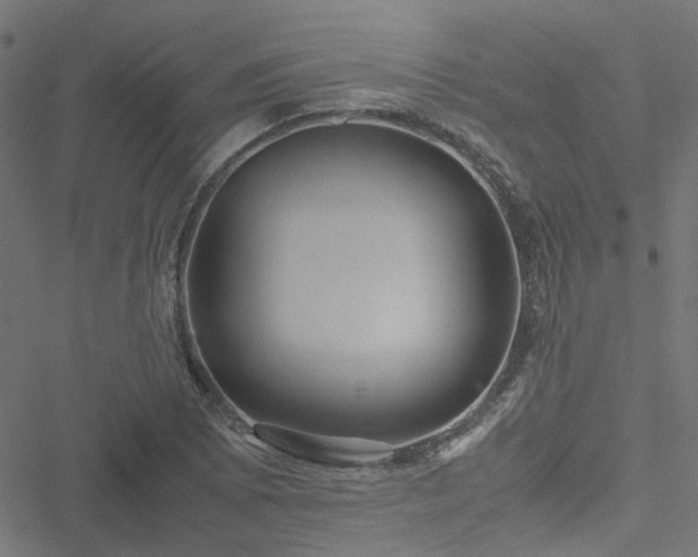 X0000051251073200506241541