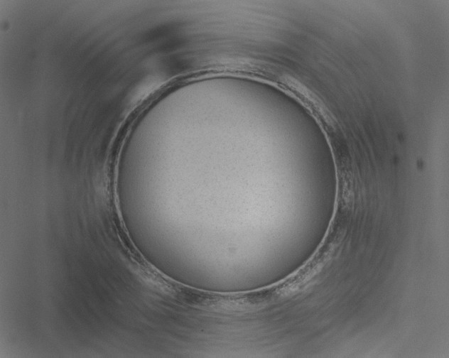 X0000051251074200506241541