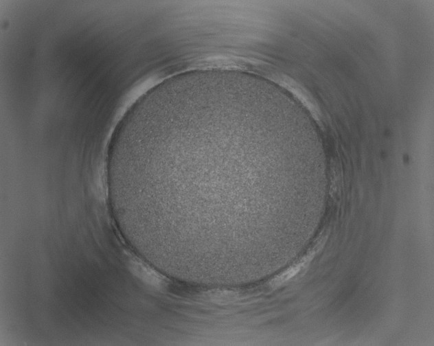 X0000051251075200506241541