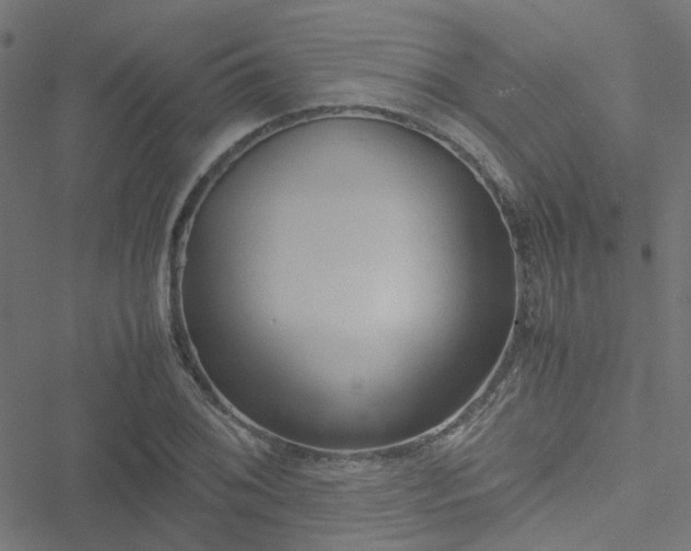 X0000051251076200506241541