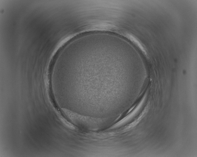 X0000051251077200506241541