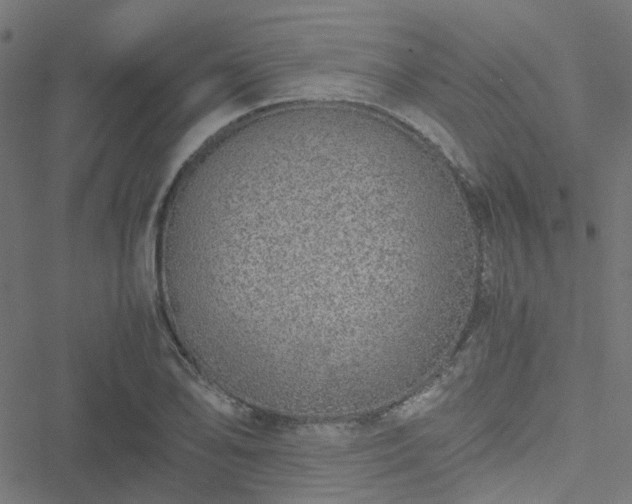 X0000051251078200506241540