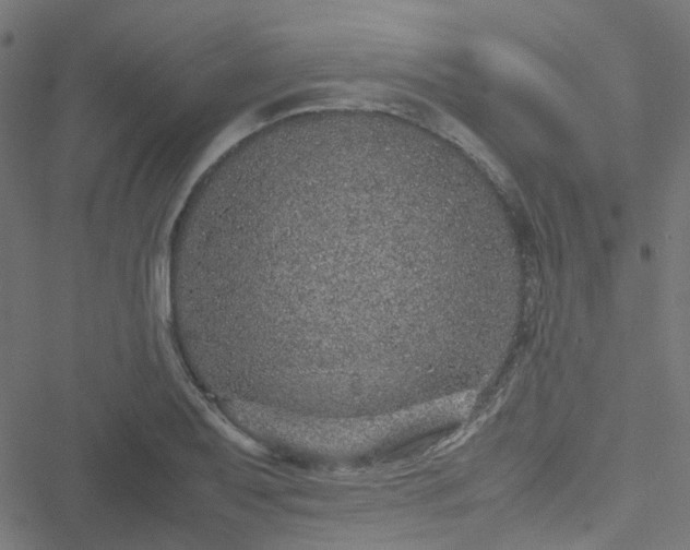 X0000051251079200506241540