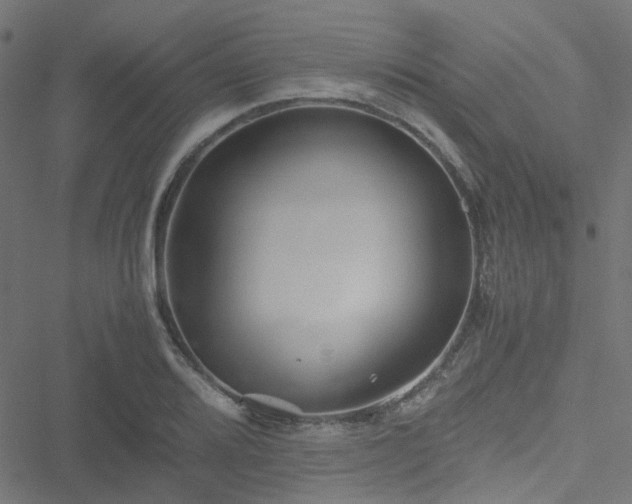 X0000051251080200506241540