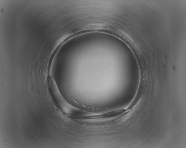 X0000051251081200506241540