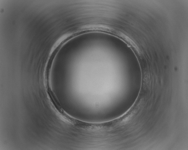 X0000051251082200506241540