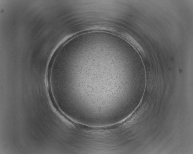 X0000051251084200506241540