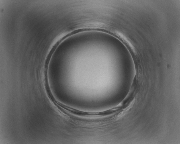 X0000051251085200506241540